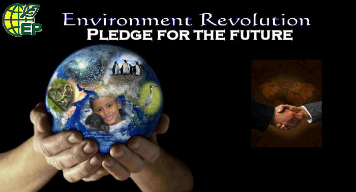  Pledge for the future